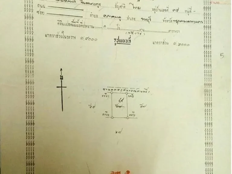 ขายที่ดิน 2ไร่ โคกขาม พันท้ายนรสิงห์