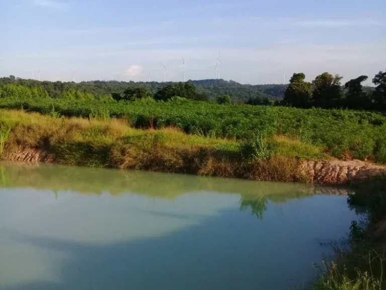 ขายที่ดิน 8 ไร่ บ้านดงลาน ตวะตะแบก อเทพสถิต จชัยภูมิ