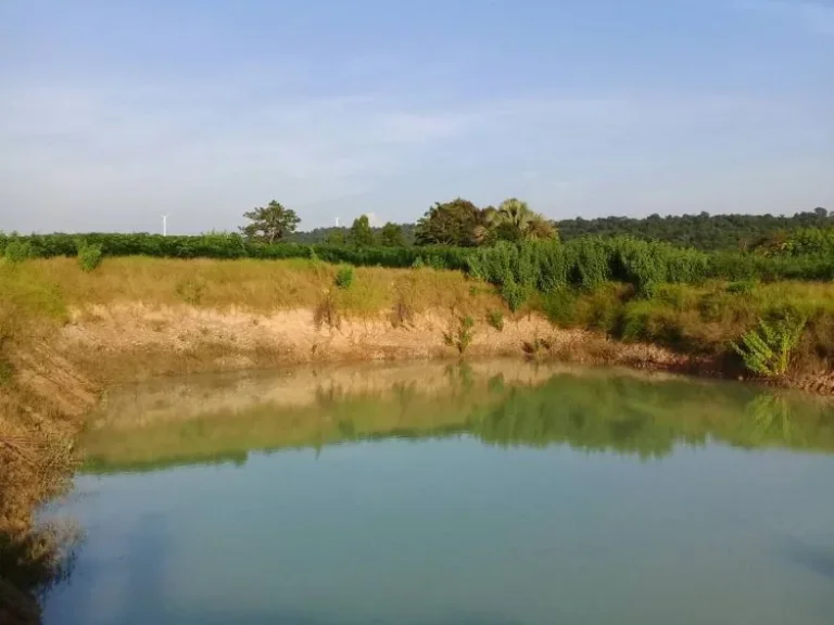 ขายที่ดิน 8 ไร่ บ้านดงลาน ตวะตะแบก อเทพสถิต จชัยภูมิ