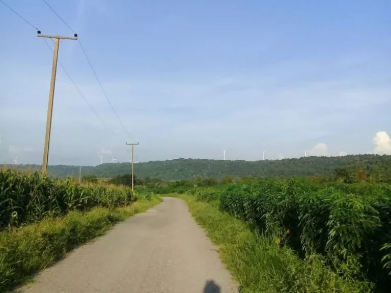 ขายที่ดิน 8 ไร่ บ้านดงลาน ตวะตะแบก อเทพสถิต จชัยภูมิ