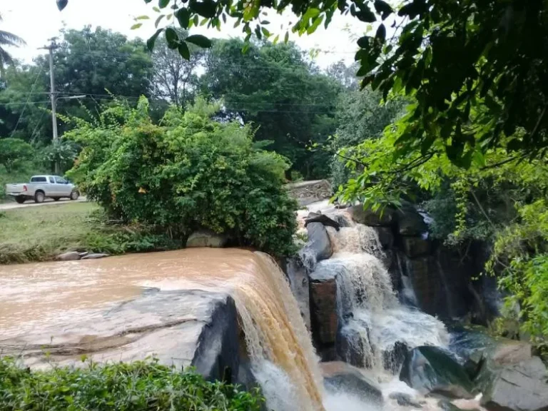 ขายที่ดิน 8 ไร่ บ้านดงลาน ตวะตะแบก อเทพสถิต จชัยภูมิ