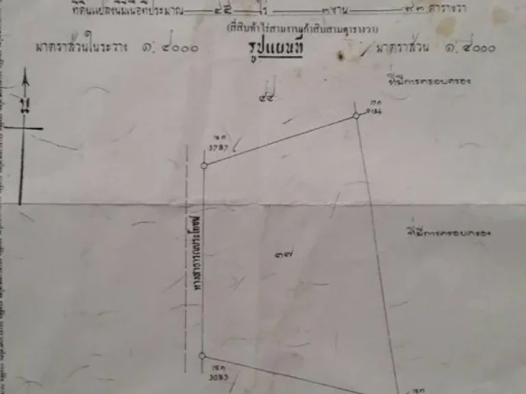 ขายที่ดิน45-3-93ไร่อำเภอวิเชียรบุรี