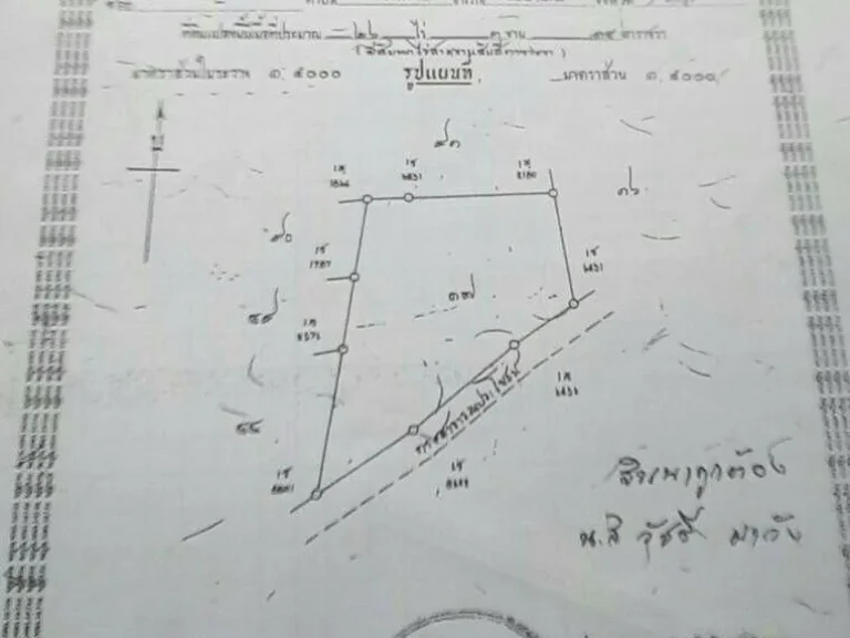 ที่ดินโฉนด จำนวน 26-3-14 ไร่ ติด ถคอนกรีต หน้ากว้าง ตสะแกราบ อโคกสำโรง จลพบุรี