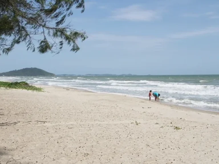 ขายที่ดินติดชายหาดส่วนตัว มีท่าจอดเรือ หาดกว้าง 85 เมตร โฉนด 2 ไร่เศษ