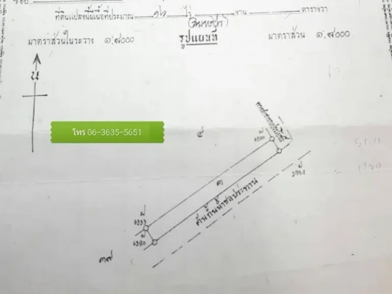 ที่ดินเพื่อการลงทุน 16ไร่ ไร่ละ7แสนลดเหลือ5แสนบาท ฟรีโอน