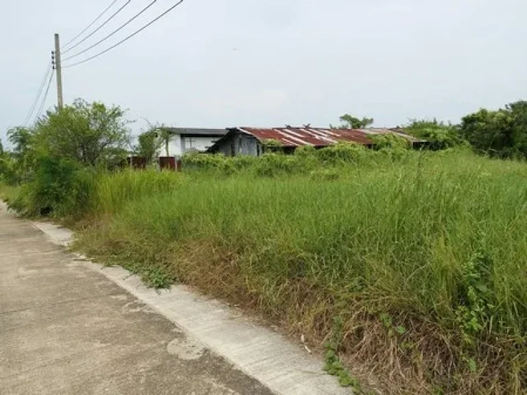 ขายถูก ที่ดิน 436 ตรวพุทธมณทลสาย 2 ซอย 33ศาลาธรรมสพน์ ทวีวัฒนา กรุงเทพมหานคร