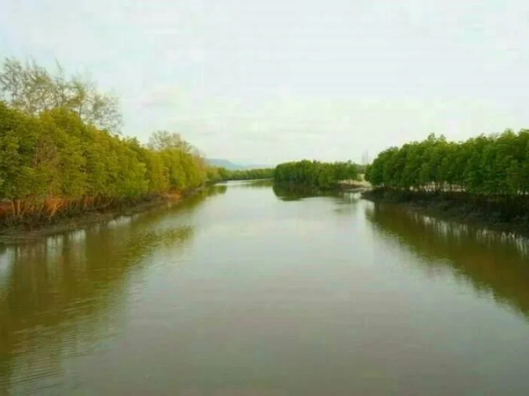 ขายที่ดินแปลงใหญ่ แปลงสวยมาก เป็นพื้นที่ ดินติดทะเลพร้อมหาดส่วนตัว บนหาดมุกเมฆ จังหวัดตราด