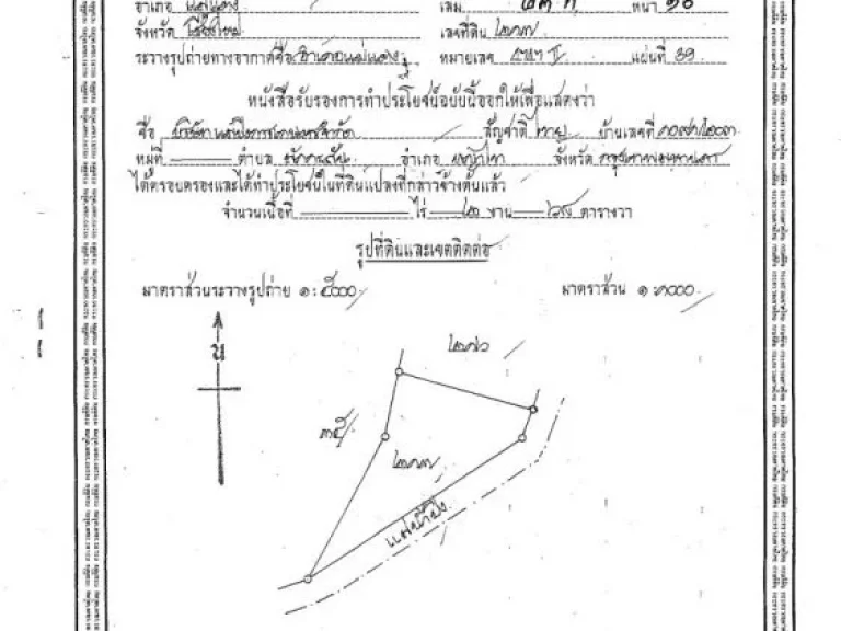 ที่โฉนดวิวเขาติดแม่น้ำปิง 268 ตรวาและที่งอกสวนลำไยกล้วย 1 ไร่กว่า