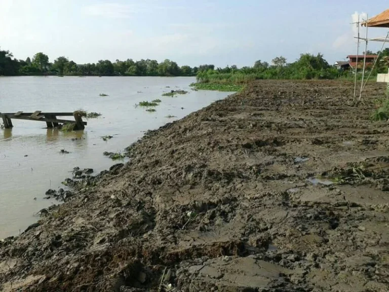 ขายที่ดินติดแม่น้ำบางปะกง เนื้อที่ 7 ไร่ บางคล้า จฉะเชิงเทรา