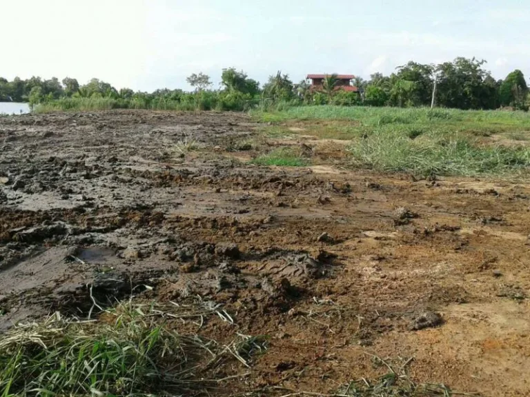 ขายที่ดินติดแม่น้ำบางปะกง เนื้อที่ 7 ไร่ บางคล้า จฉะเชิงเทรา