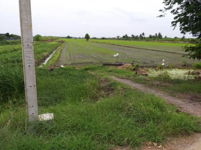 ที่ดินเนื้อที่ 20 ไร่ อำเภอไทรน้อย จังหวัดนนทบุรี