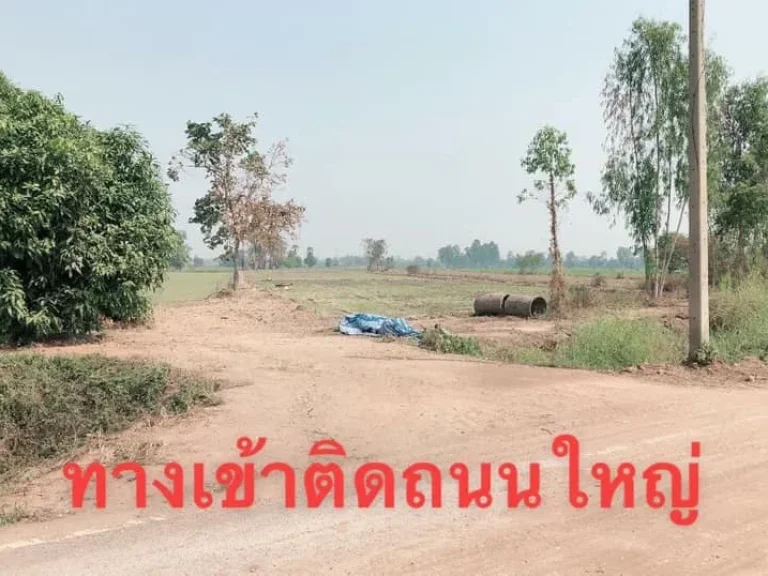 ขายที่ทำการเกษตรในเมือง 9 ไร่