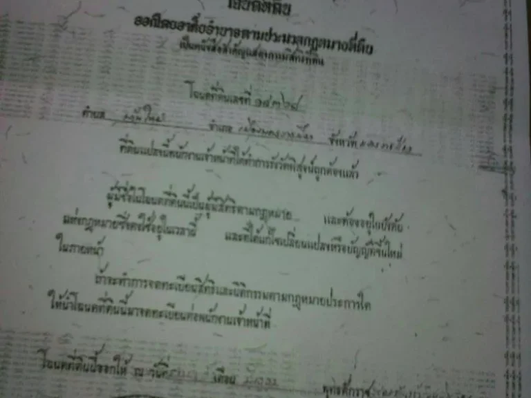 ขายบ้านเดี่ยว 2ชั้น ครึ่งปูนไม้ 96 ตรว 3 ห้องนอน 1ห้องน้ำ ซอยมิตรภาพ 30 อเมือง นครราชสีมา