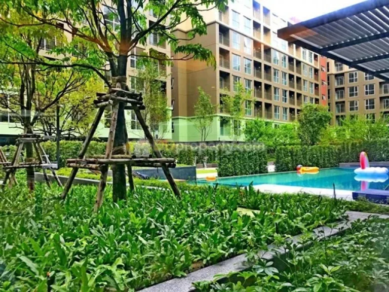 R943 ให้เช่า 8000 คอนโด ลุมพินี เพลส บางนา กม3 Lumpini Place Bangna Km3