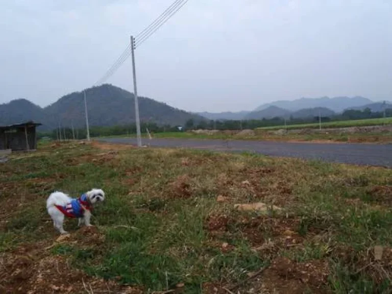 ขายบ้าน พร้อมที่ดิน โครงการเคียงตะวันรีสอร์ท วังม่วง สระบุรี