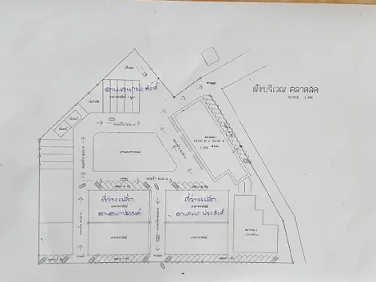 ขายตลาดพร้อมที่ดิน ตสันนาเม็ง อสันทราย จเชียงใหม่