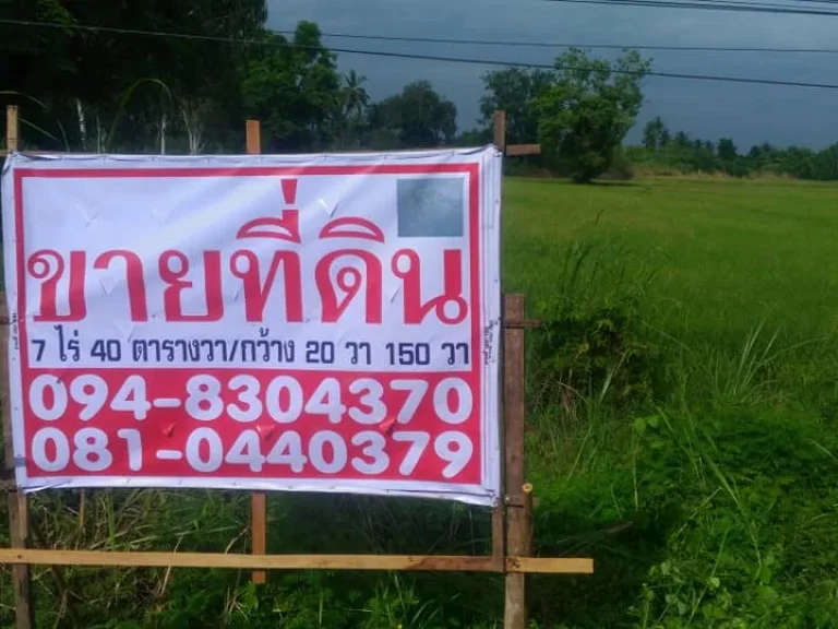 ขายที่ดินติดถนนหลัก ตะพานหิน-พิจิตร 7 ไร่ 49 ตรว