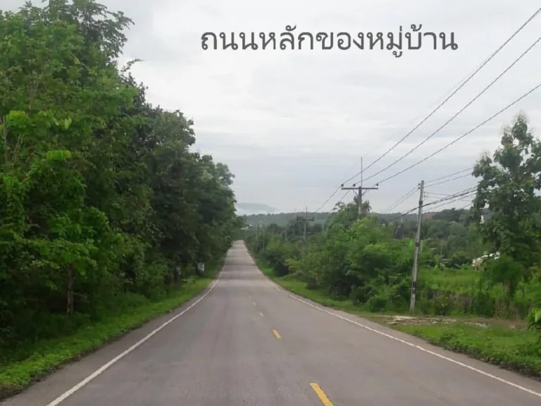 ขายที่ดินพร้อมสิ่งปลูกสร้าง ติดถนนหมู่บ้าน ตดอยลาน จเชียงราย