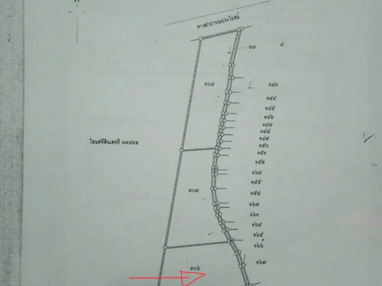 ขายที่ดินสวย 4-3-69 ไร่ ด้านหลังติดภูเขา ใกล้วัดพระขาว ตกลางดง อปากช่อง จนครราชสีมา