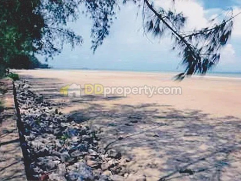 ขายโรงแรมรีสอร์ท ติดชายทะเล หาดแม่พิมพ์