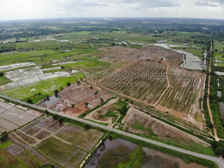 ที่ดินแปลงใหญ่ หนองคาย ทำสวนปาล์ม หรือทำเกษตร ใกล้แม่น้ำโขง บ้านดงบัง ศรีเชียงใหม่ ท่าบ่อ