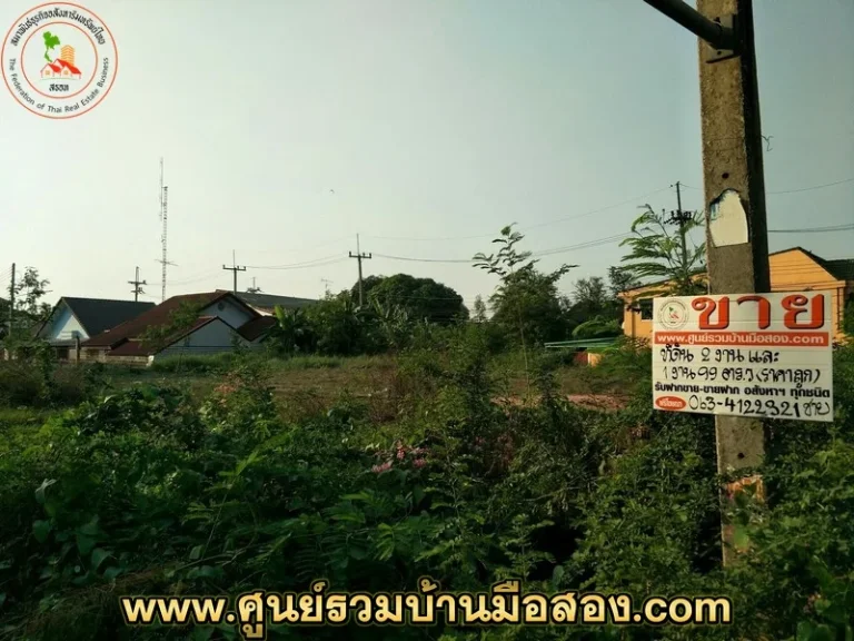 ขายที่ดิน ชัยนาท 2 งาน ถนนชัยนาท - สุพรรณบุรี ต บ้านกล้วย อ เมืองชัยนาท จ ชัยนาท