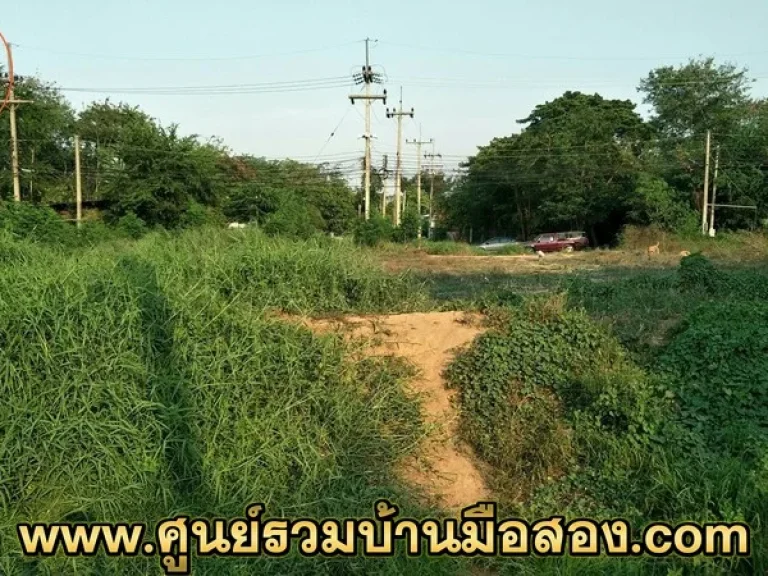 ขายที่ดิน ชัยนาท 2 งาน ถนนชัยนาท - สุพรรณบุรี ต บ้านกล้วย อ เมืองชัยนาท จ ชัยนาท