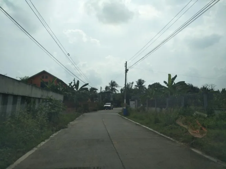 ขายที่ดินในซอยวัดพืชนิมิตร 2ไร่