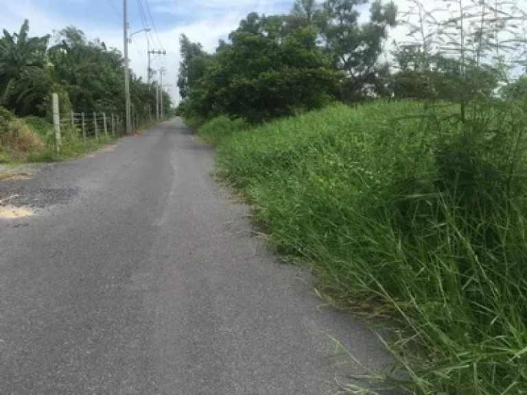 ที่ดินเปล่าเหมาะสร้างเป็นบ้านพักอาศัย มีนบุรี กรุงเทพ