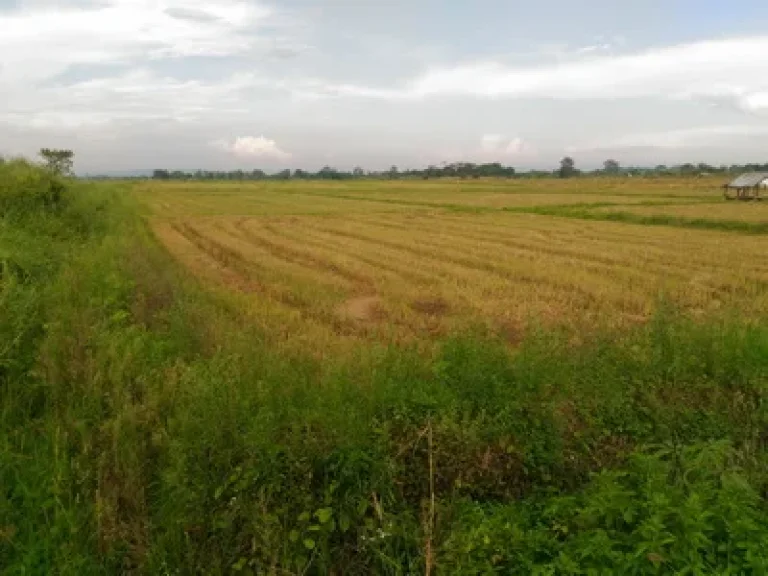 ที่ดินเปล่า ติดถนนสายหลักบายพาสตะวันออกเชียงราย เมืองเชียงราย