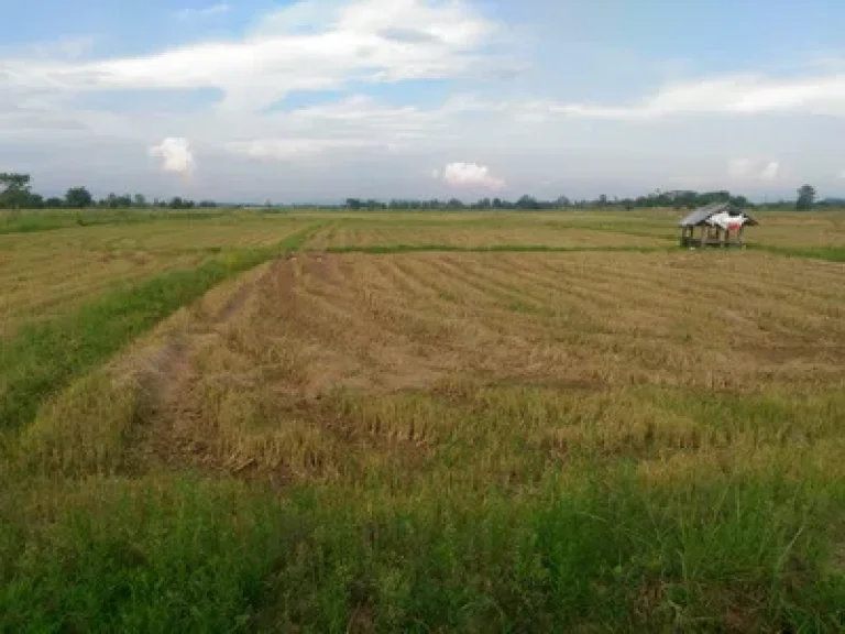 ที่ดินเปล่า ติดถนนสายหลักบายพาสตะวันออกเชียงราย เมืองเชียงราย