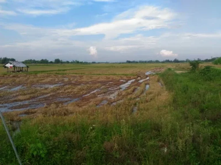 ที่ดินเปล่า ติดถนนสายหลักบายพาสตะวันออกเชียงราย เมืองเชียงราย