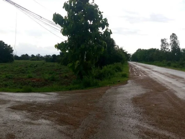 ขายที่ดินติดถนนลาดยาง 20 ไร่ อหล่มสัก จเพชรบูรณ์ ราคาถูก