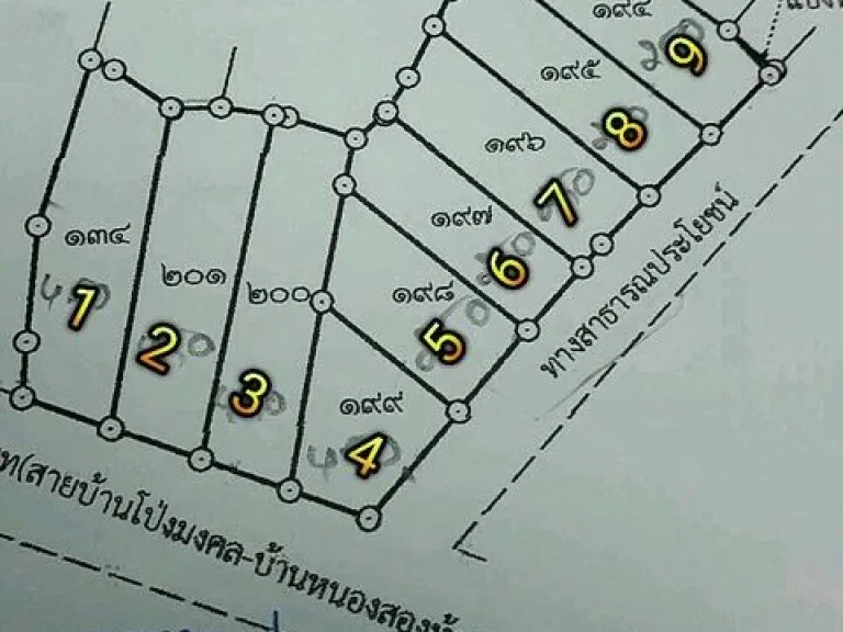 ขายที่ดิน 1ไร่ 3งาน แบ่งขายราคาถูกมี 9 แปลง อยู่ห่างฟิวเจอร์รังสิต 89 กม