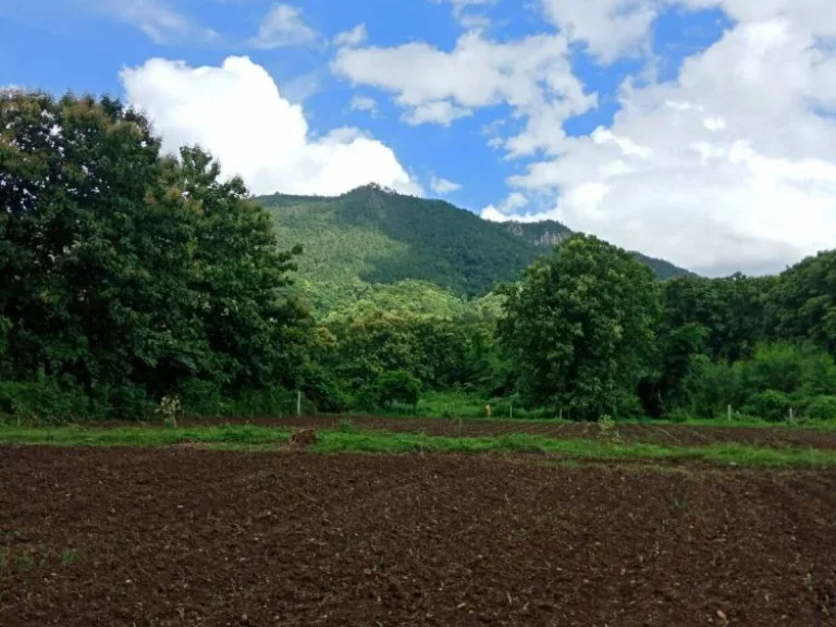 ขายที่ดินติดทางหลวง 1229 จำนวน 28 ไร่ ราคาไร่ละ 600000 พร้อมโอน