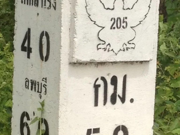 ขายที่ดิน มีโฉนด20-3-62ไร่ ติดถนนสายชัยบาดาล-ลำนารายณ์ ชัยบาดาล ลพบุรี