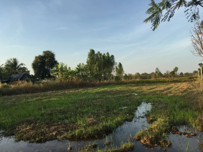 ขายที่ดินติดถนน แปลงสวย เหมาะสำหรับเกษตรกรรม มีทางเดินน้ำ