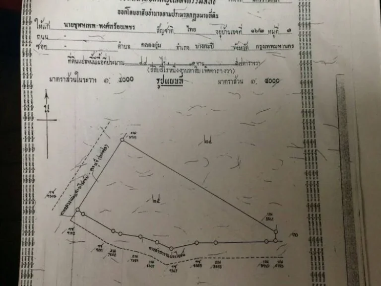 ขายด่วนที่ดินแปลงใหญ่ติดถนนโชคชัย-ครบุรี