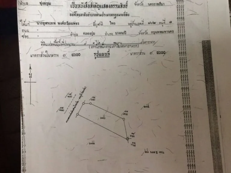 ขายด่วนที่ดินแปลงใหญ่ติดถนนโชคชัย-ครบุรี