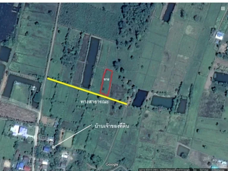 Land for sale in Mueang Buriram