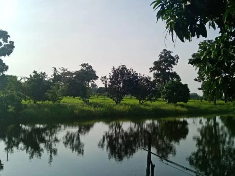 Land for sale in Mueang Buriram