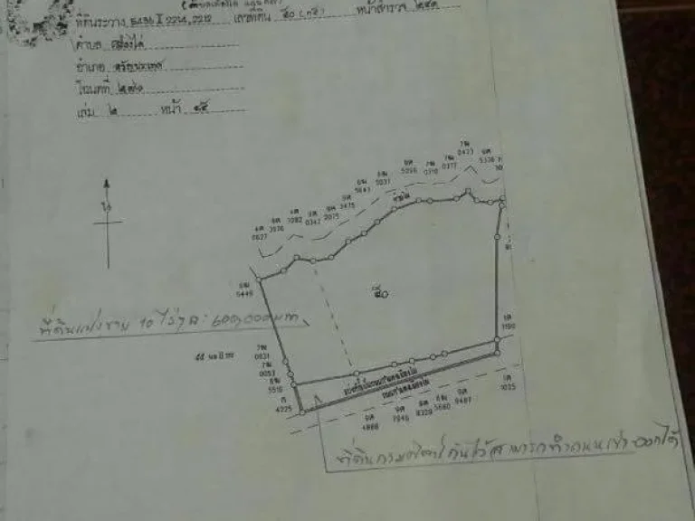 ขายที่ดินมีโฉนด พร้อมโอน 10ไร่ ไร่ๆละ 6แสนบาท ใก้ล ถนนตัดใหม่ 4เลน มุ่งหน้าเข้าประเทศกัมพูชา ผ่านตลาดโรงเกลือ