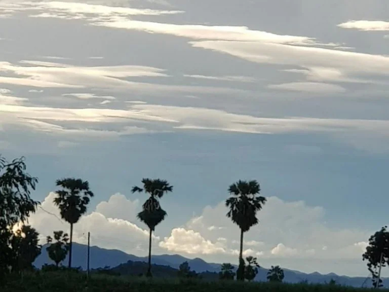 ขายด่วนมากๆๆ ที่ดินจัดสรร วิวภูเขา หลังติดลำธาร อเลาขวัญ กาญจนบุรี