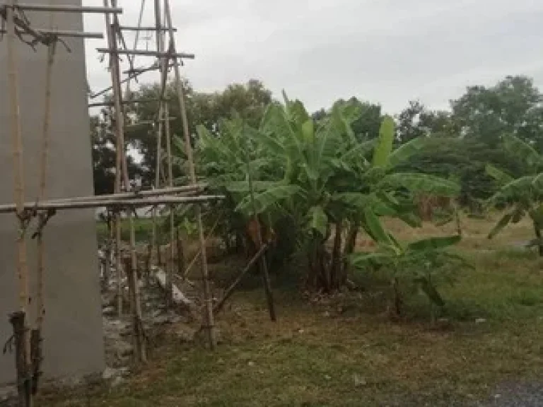 ขายที่ดิน 1 ไร่ เหมาะสำหรับทำธุรกิจ อยู่ฝั่งตรงข้ามเดอะคริสตัลมอล พี ที ที