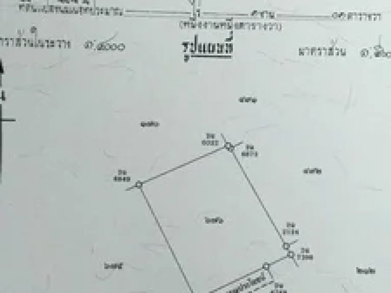 ขายที่ดินโฉนด แปลงละ100 ตารางวา อำเภอมวกเหล็ก จังหวัดสระบุรี