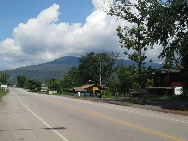 ขายที่ดิน 20 ไร่อยู่ติดถนนทางขึ้นสถานที่ท่องเที่ยวอุทยานแห่งชาติภูกระดึงก่อนถึงตีนเขาภูกระดึง