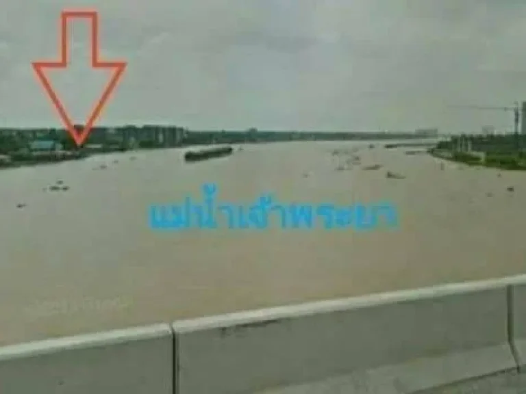 ขายที่ดิน ซอยไทรม้า เนื้อที่ 6 ไร่ ที่ดินสวยติดแม่น้ำเจ้าพระยา