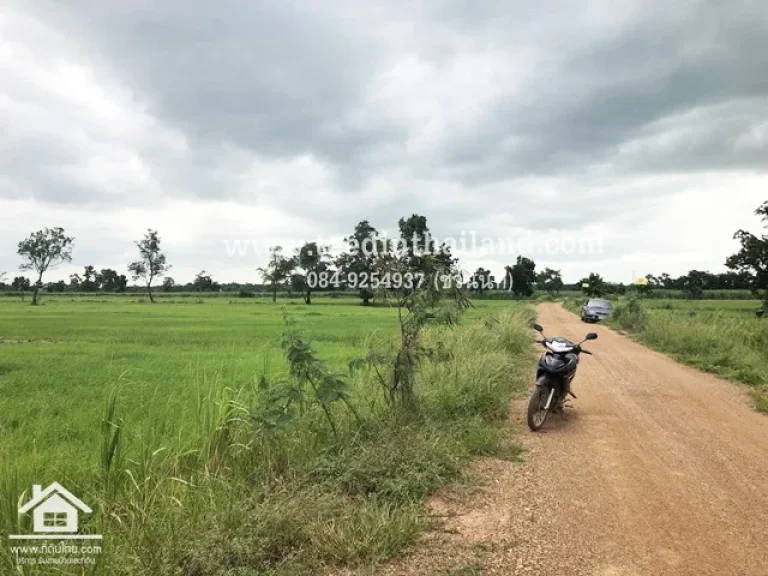 ขายที่นาเพชรบูรณ์ 10ไร่เศษ โฉนด ตศรีเทพ อศรีเทพ จเพชรบูรณ์ รหัส L90