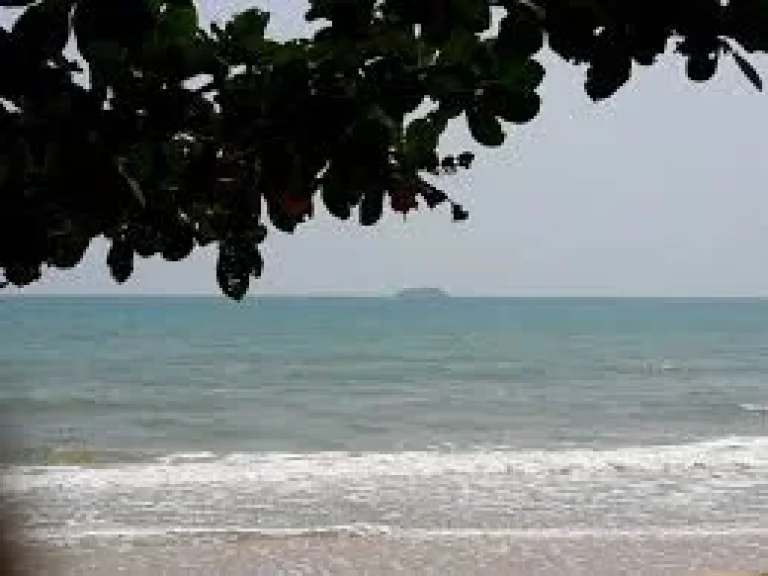 ขายที่ดินติดชายหาด บนทรายสีขาว หาดตื้น คลื่นสวย 2 ไร่