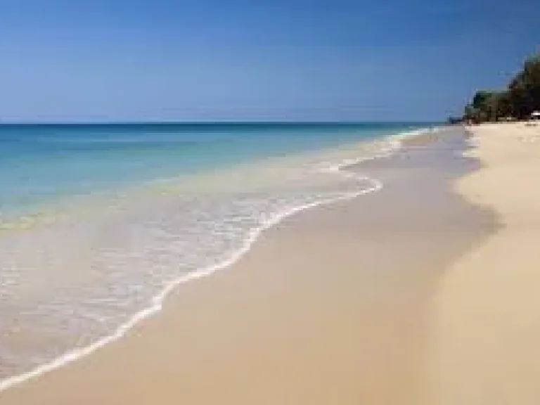 ขายที่ดินติดชายหาด บนทรายสีขาว หาดตื้น คลื่นสวย 2 ไร่